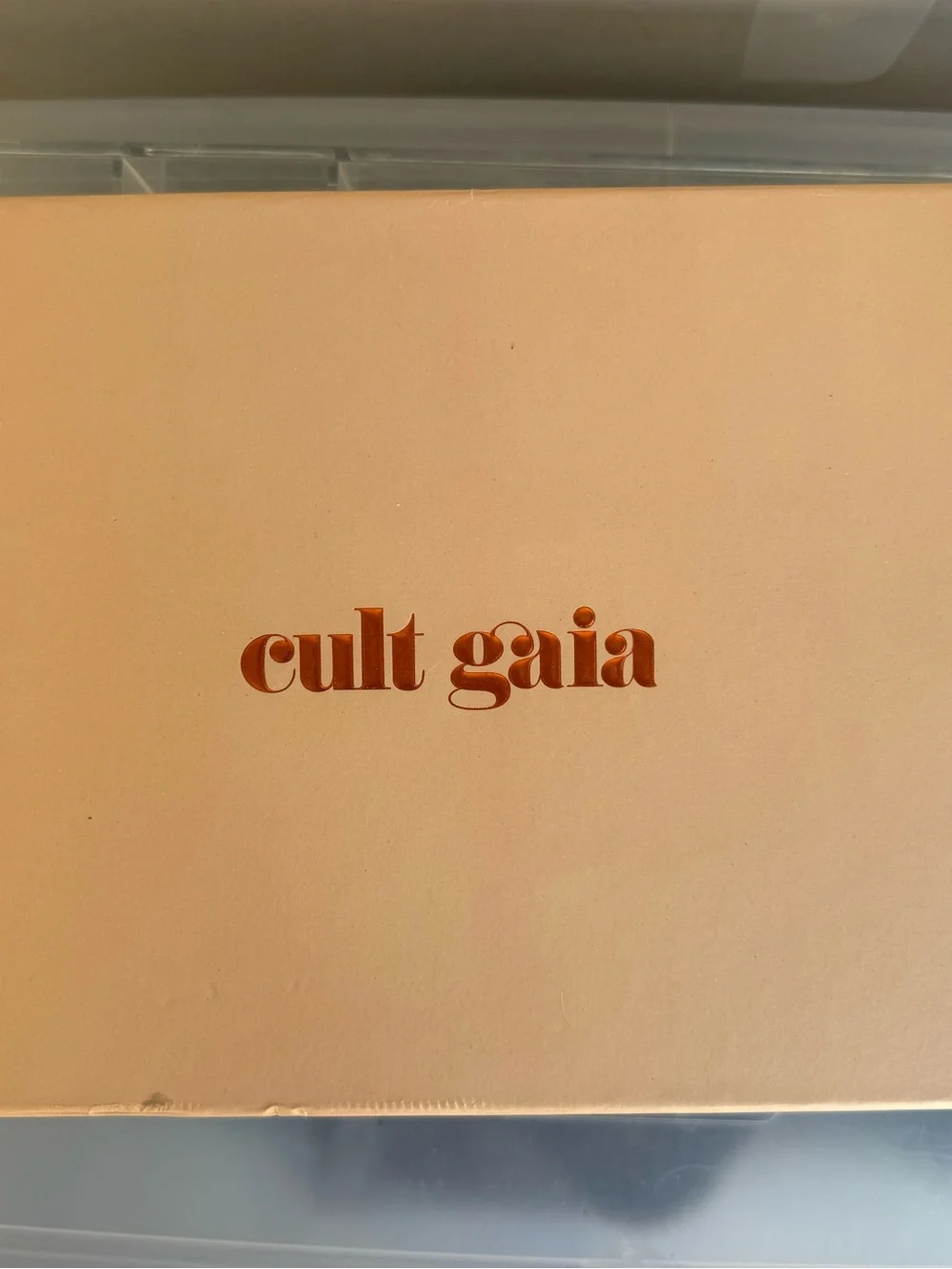 Cult Gaia ark bag cherry quartz